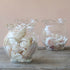Wavy Clear Glass Jars